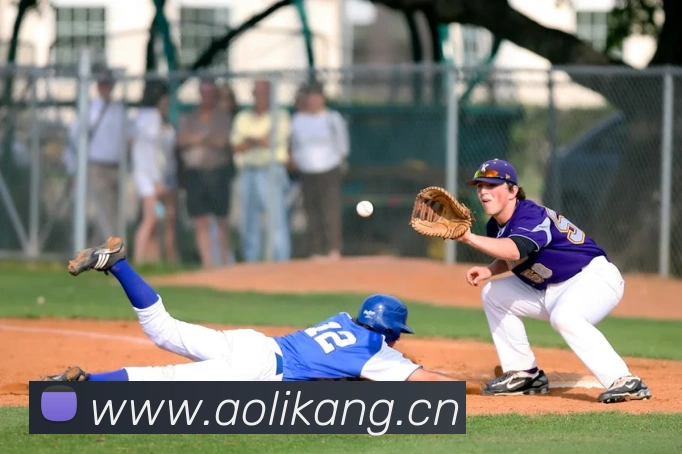 体育365-beat365平台生态图